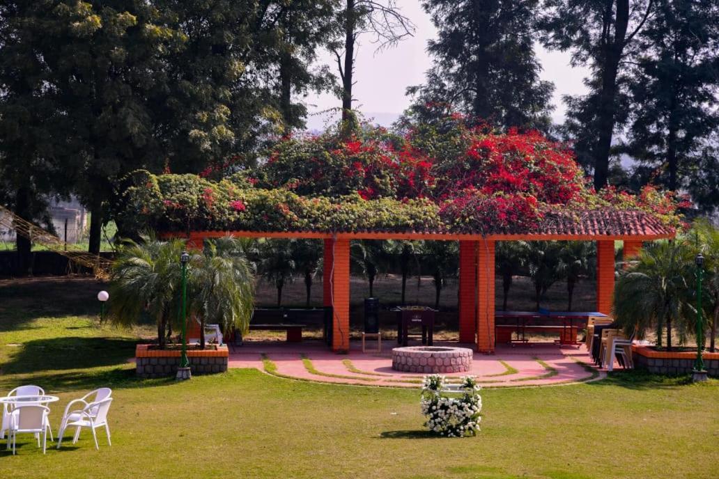 Green Orchid Farms I Swimming Pool I Wedding I Party Villa Gurgaon Exteriör bild